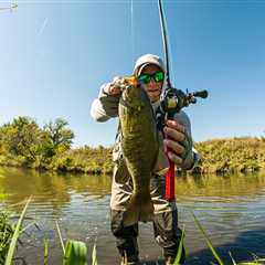 BFS Fishing: An Expert’s Guide for Complete Beginners