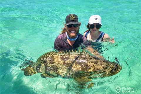 How to Get a Florida Goliath Grouper Harvest Permit for 2026
