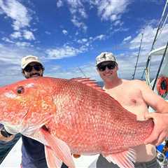 Federal Red Snapper Season Reopened in the Gulf