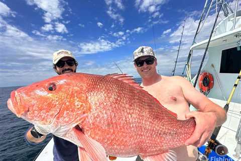 Federal Red Snapper Season Reopened in the Gulf