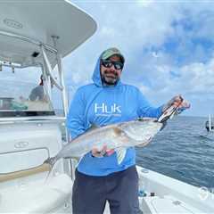 Amberjack Season in the US for 2026