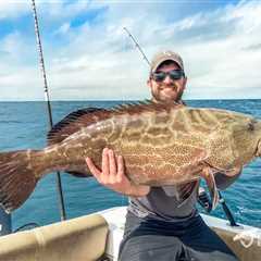 Gulf Shallow-Water Groupers Face Major Catch Cuts and Season Changes Starting 2027