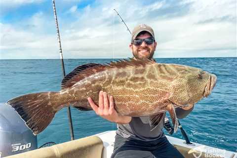 Gulf Shallow-Water Groupers Face Major Catch Cuts and Season Changes Starting 2027